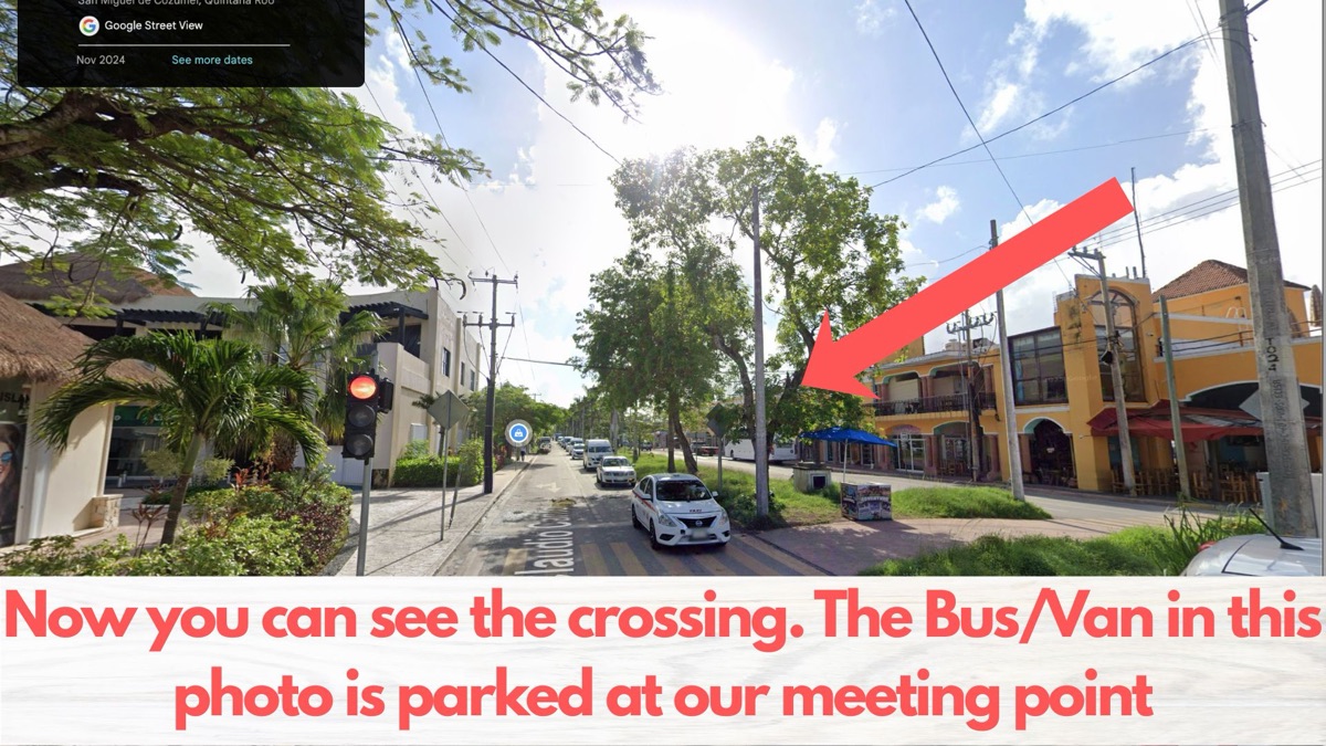 The crossing, with the bus visible